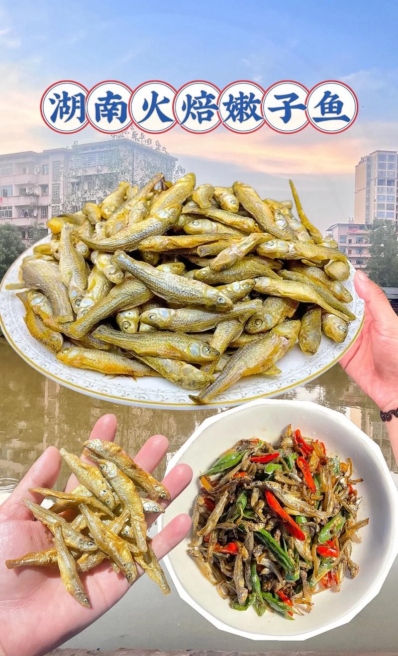 电商新时代：网上购物商城引领潮流